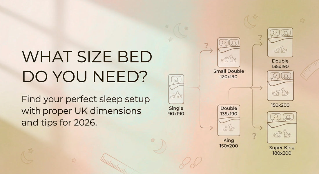 What Size Bed Do You Need? 