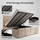 Elite V Plush Ottoman Bed