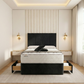 Calligenia Divan Bed - Black Plush Velvet